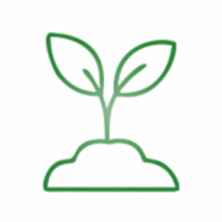 Improved Soil Fertility