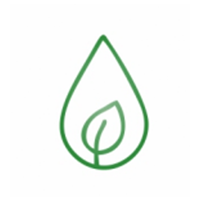 Improved Oil Content