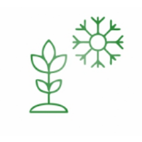 Suitable for Winter Season