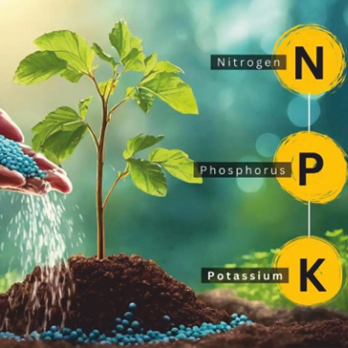 NPK Fertilizers