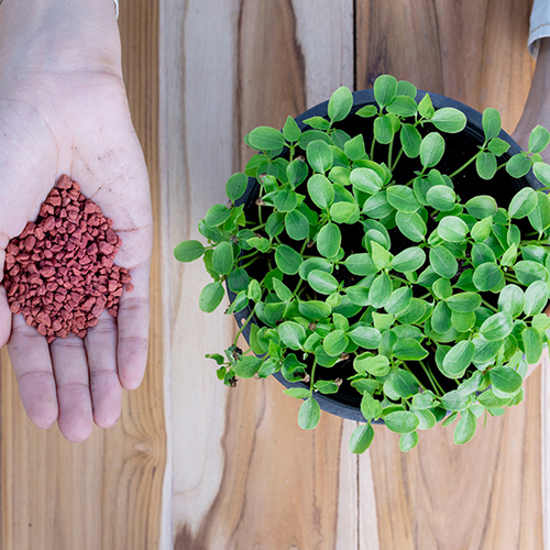 Allied Yebeza Fertilizers